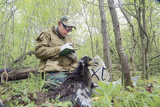 Prisidengę paukščių apsauga naikina turtą