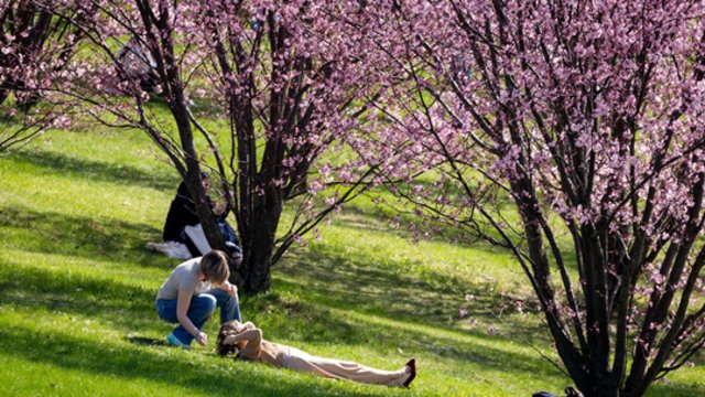 Sinoptikai praneša, kokie orai vyraus savaitgalį: atsakė ar saulauksime saulės