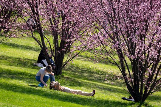 Sinoptikai praneša, kokie orai vyraus savaitgalį: atsakė ar saulauksime saulės