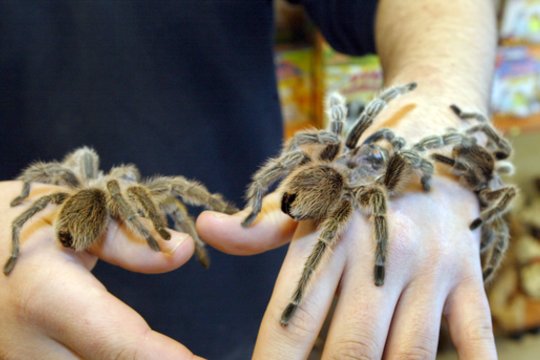 Vokietijos traukinyje – neeilinis incidentas: aptikus tokį radinį mašinistui teko kviesti policiją