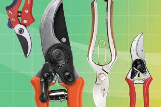 Atrodo panašūs, bet skiriasi kardinaliai: išbandė 19 sekatorių ir paskelbė savo išvadas