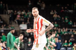 D. Motiejūnas sureagavo į R. Milašiaus pasisakymus: „Trūksta supratimo apie profesionalų sportą“