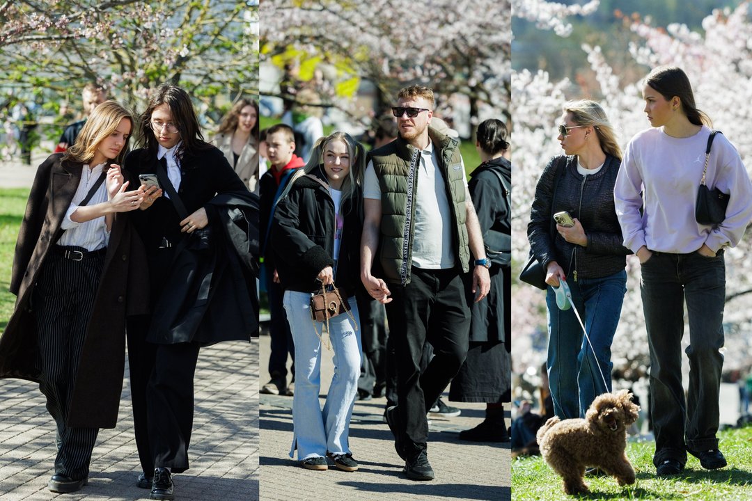 Sakuros viliojo vilniečius: minios žmonių mėgavosi saule ir rožiniais žiedais