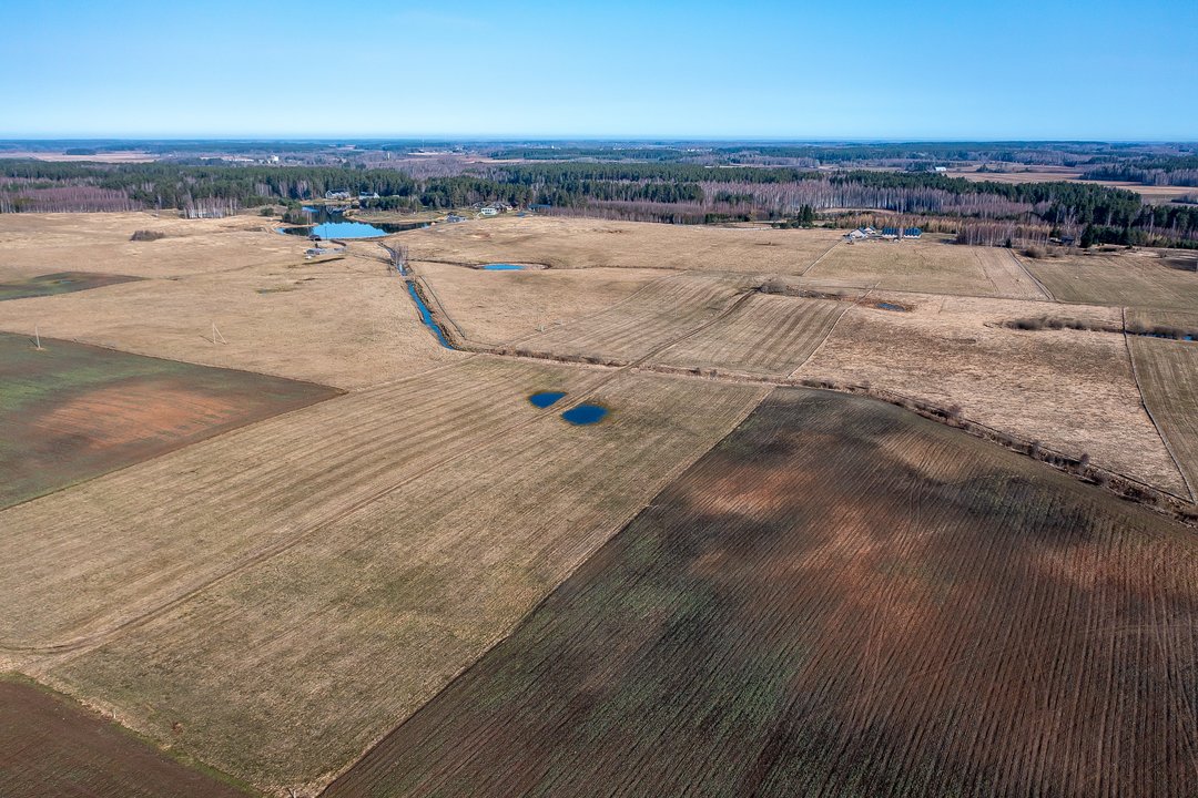 NŽT: ūkininkai šiemet jau pateikė per 4,4 tūkst. prašymų įsigyti valstybinę žemę
