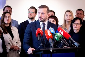 V. Sinkevičius: gaila, kad neveiksni koalicija daro žalą valstybei