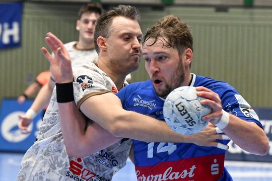 G. Babarsko komanda krito Vokietijos rankinio taurės finale