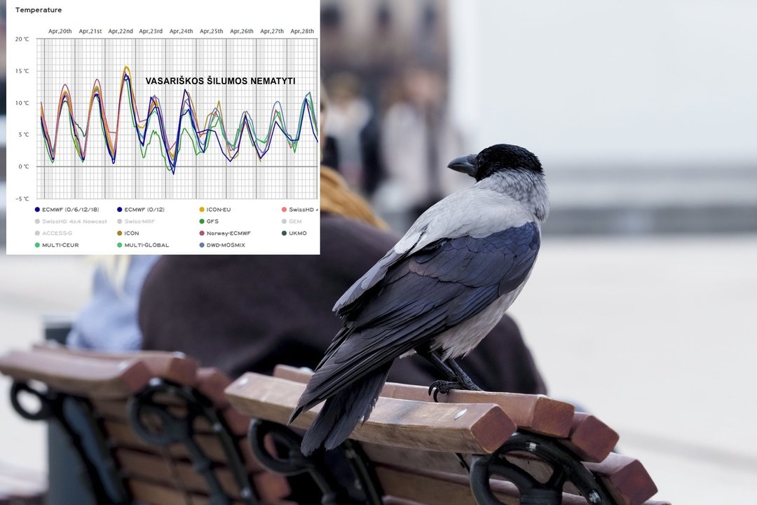 Meteorologas skelbia apie laukiančius nemalonius pokyčius: šildymo išjungti geriau neskubėti