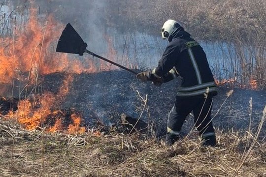 Savaitgalis: ugniagesiai gelbėjo žmones, ant rankų iš pelkės nešė avį, iš upės traukė paspirtuką, gesino degančias pievas