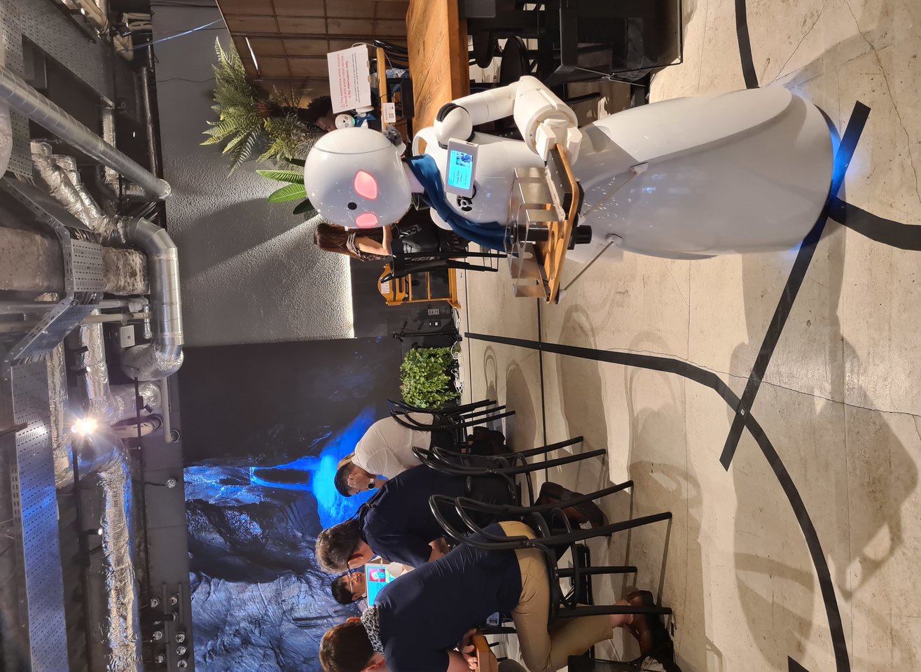  Medaus mėnuo Japonijoje.<br> Asmeninio archyvo nuotr.