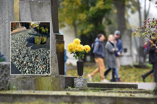 Prieš Motinos dieną sutvarkyta kapavietė tvarkinga išlikti gali visą sezoną: svarbiausia nedaryti šių klaidų