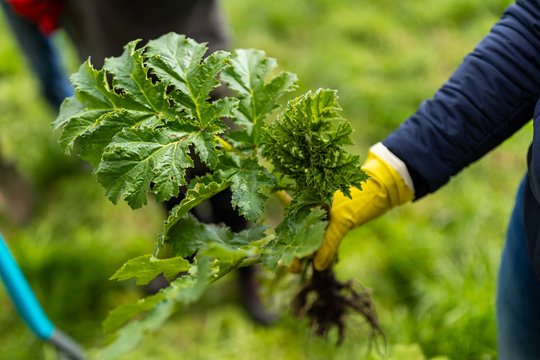 Primena – dabar šiam darbui tinkamiausias laikas