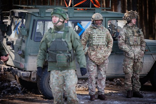 D. Matulionis apie sutrikusį JAV ginkluotės tiekimą: nacionalinės divizijos vystymui nesutrukdys