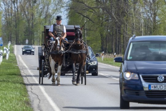 Klaipėdoje kyla konfliktas dėl gyvūnų: „Uždraus karietas? Atvešiu žirgus politikui“