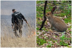 Įspėja, kad tai – mirties nuosprendis viskam, kas gyva: baudos gali siekti iki 2300 eurų