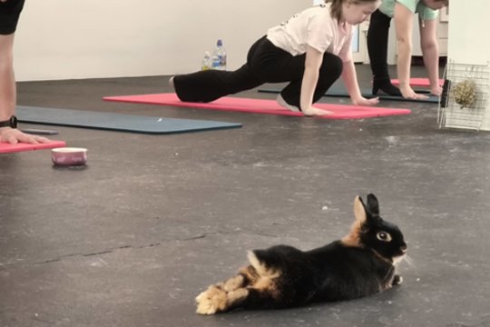 Triušytė Ugnė stebina išskirtiniu charakteriu: laukia ypatingo žmogaus