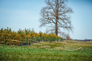 Dingusio paramediko tėvas pasidalino šiurpiais įtarimais: „Toje sodyboje sutikau buvusios sūnaus žmonos sugyventinį“