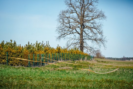 Dingusio paramediko tėvas pasidalino šiurpiais įtarimais: „Toje sodyboje sutikau buvusios sūnaus žmonos sugyventinį“