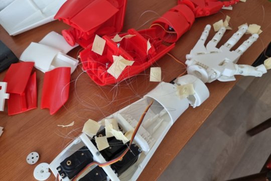 „Nė dienos be robotikos“: kaip Lietuvoje kuriamas humanoidas muziejui