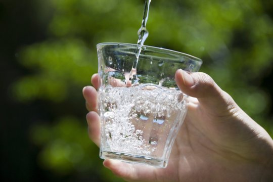 Stiklinė vandens už ačiū: kiek už mandagumą susimokame DI?