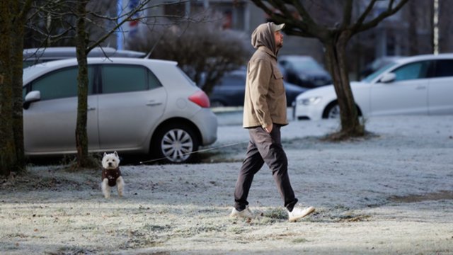 Naktys išliks vėsios: vietomis sulauksime ir lietaus