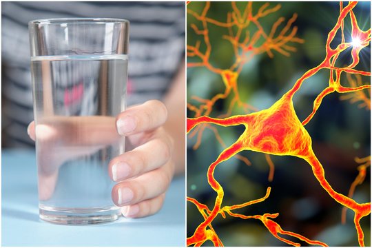Iš neurologo lūpų – įspėjimas dėl maisto papildų: šis vitaminas gali virsti nuodu