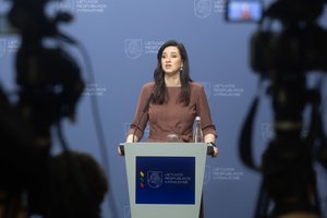 I. Ruginienė: šeimos ir gimstamumo tyrimas reikalingas tam, kad identifikuotų svarbiausias detales