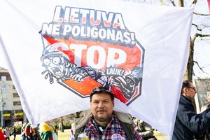 Seimui apsisprendus steigti karinį poligoną Kapčiamiestyje, prie parlamento – dar vienas protestas