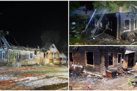 Išsiaiškintos Šalčininkų r. įvykdytos garbaus amžiaus moterų žmogžudystės: primušė, smaugė ir apiplėšė