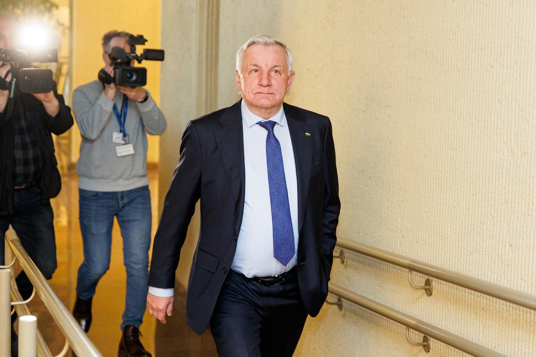 R. Sinkevičius apgailestauja dėl nepalaikiusių poligono: svajoja apie rinkimus, ieško populiarumo