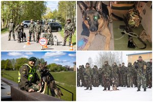 Šauliai švenčia Šuns dieną: keturkojai tampa partneriais, gelbstinčiais gyvybes