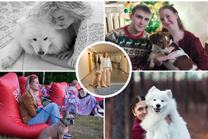 Keturios letenos ir laimė: Alytaus keturkojų istorijos ir nuotykiai