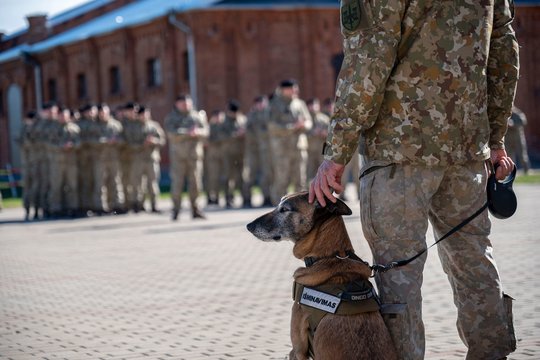 Šuns dienos minėjime Kaune – simbolinė tarnybinio šuns išleidimo į atsargą ceremonija