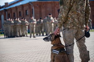 Šuns dienos minėjime Kaune – simbolinė tarnybinio šuns išleidimo į atsargą ceremonija