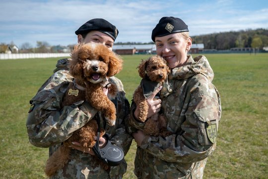 Šuns dienos minėjime Kaune – simbolinė tarnybinio šuns išleidimo į atsargą ceremonija