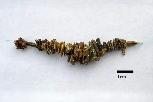 Ištyrė piratų lobį: nuskendusio laivo artefaktai atskleidžia, kas iš tiesų melavo