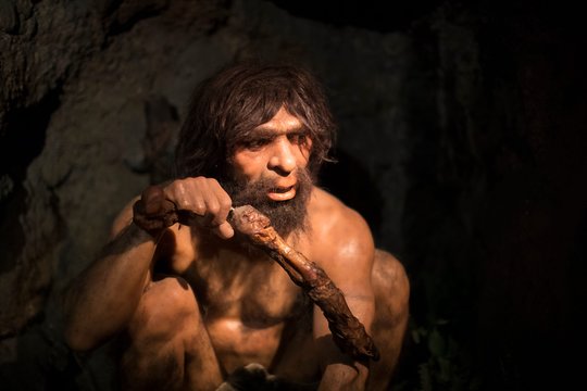 Pirmą kartą atkurtas genetinis neandertaliečių šeimos portretas: štai ką slėpė urvas Lenkijoje