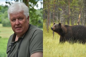 S. Paltanavičius prakalbo apie miškuose sutinkamas meškas: „Į Lietuvą neateina – jos grįžta namo“