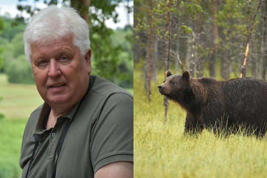 S. Paltanavičius prakalbo apie miškuose sutinkamas meškas: „Į Lietuvą neateina – jos grįžta namo“