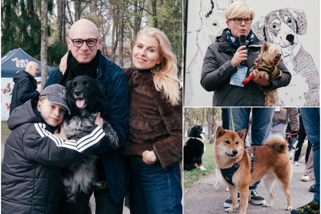 Šuns diena sukvietė keturkojų mylėtojus: su augintiniais atvyko ir R. Mikelkevičiūtė, ir I. Šimonytė