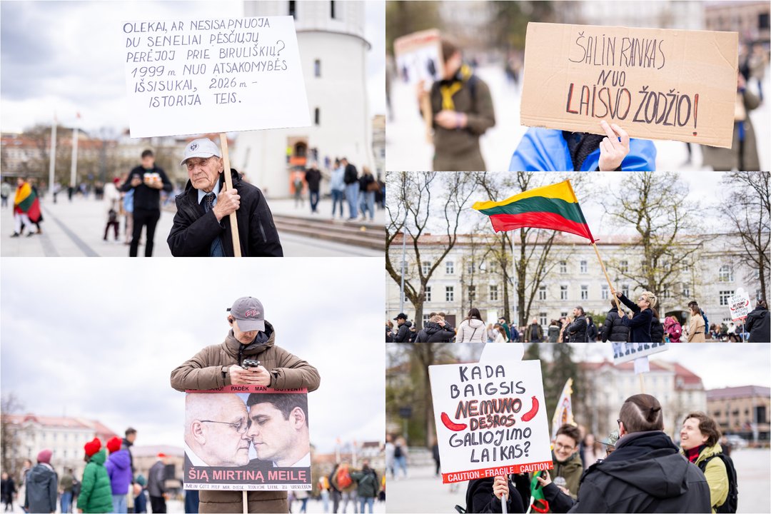 Protestas<br>Lrytas koliažas
