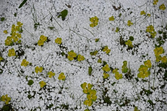 Šalnos, vėjas ir vėsus oras: klimatologas sako, kad greito atšilimo tikėtis neverta