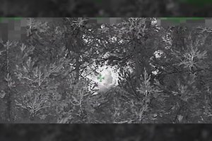 Į Lietuvą iš Baltarusijos įsibrauti bandė rekordinis šiemet migrantų skaičius