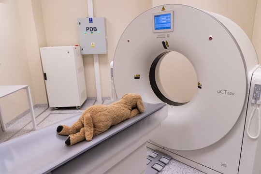 Besipiktinantiems veterinarijos kainomis – atkirtis ir patarimas, kaip sutaupyti