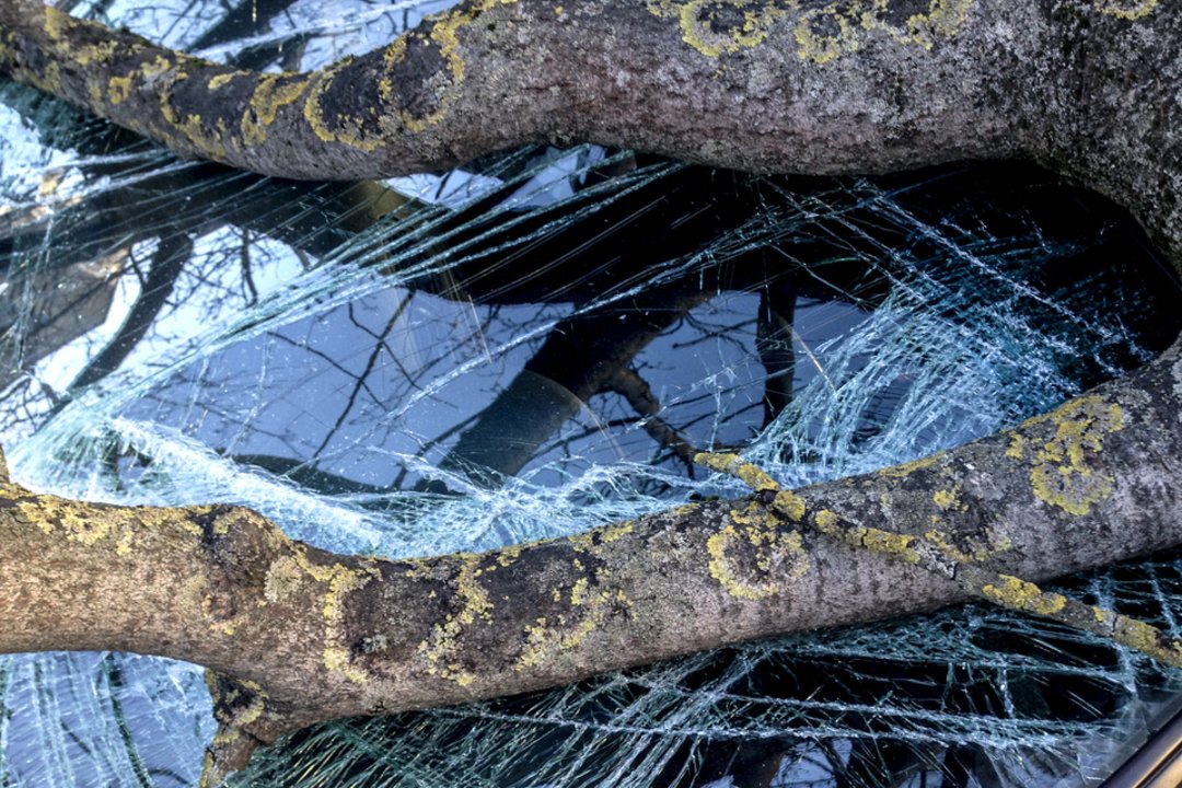 Tokios dienos nebuvo seniai: ugniagesiai skubėjo į daugybę iškvietimų, skelbiama, kur vėjas šėlo labiausiai