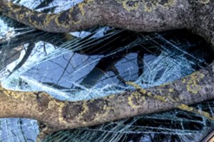 Tokios dienos nebuvo seniai: ugniagesiai skubėjo į daugybę iškvietimų, skelbiama, kur vėjas šėlo labiausiai