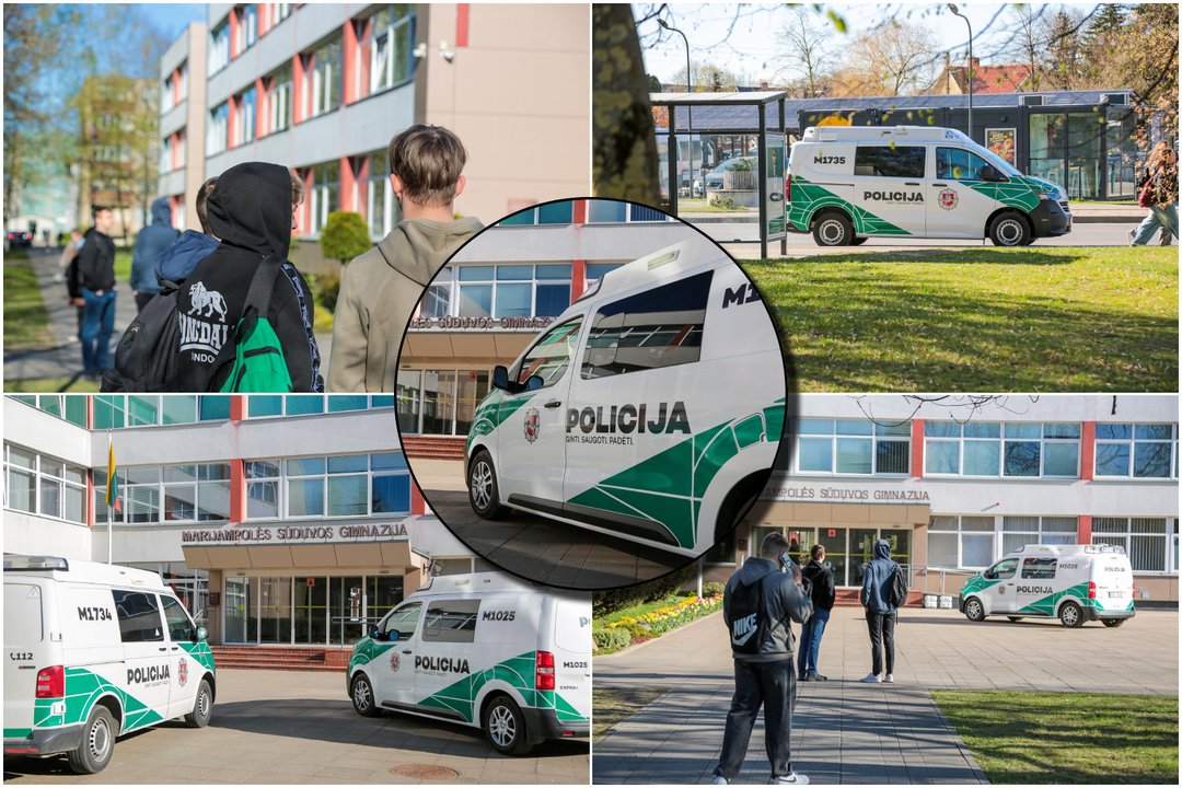 Marijampolės Sūduvos gimnazija<br>Lrytas koliažas