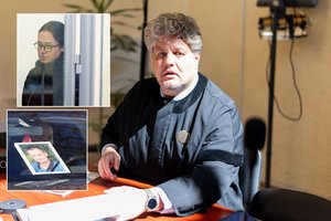 J. Gaigalaitės advokatas sureagavo į prieš jį nukreiptą peticiją: paaiškino ir savo žodžius