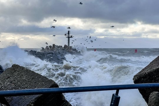 Vėjas vis dar išliks smarkus: daug kur kandžiosis šalnos, lis lietus