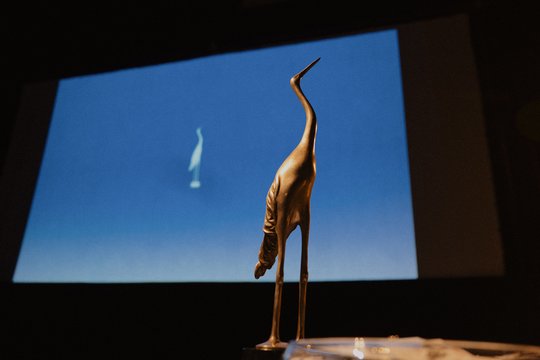 Paaiškėjo „Sidabrinės gervės“ apdovanojimų nominantai: į daugiausia statulėlių pretenduoja du filmai