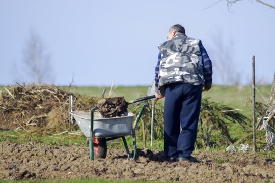 Be šių dviejų sodo priemonių neišsiversite – jas galite pasidaryti patys ir ženkliai pagerinti derlių